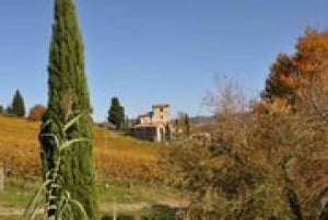 Chianti Classico Wineries: Full-Day Private Excursion