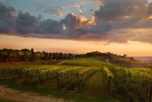 Chianti Colli Fiorentini wijnmakerij tour 18 km van Florence