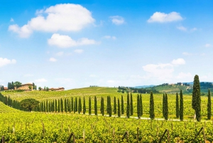 From Florence: Chianti Wine Tour with Tasting