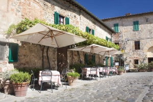 From Florence: Chianti Wine Tour with Tasting