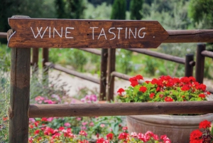 Chianti Countryside Full-Day Tour by Vintage Fiat 500