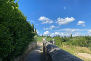 Chianti Florence Hills E-Bike guidad tur, matupplevelse och vinprovning