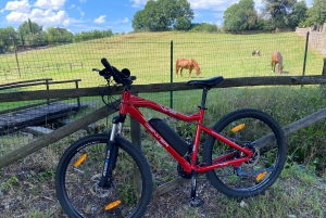 Chianti Florence Hills E-Bike guidad tur, matupplevelse och vinprovning
