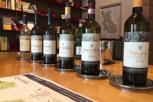 Chianti Natural Wine Tour with Tuscan Lunch