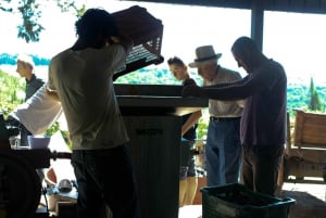 Chianti Bio-Weinverkostung