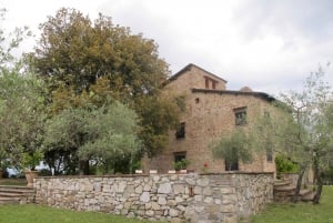 Chianti Bio-Weinverkostung