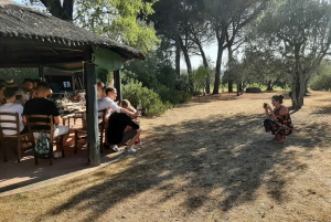 Chianti Bio-Weinverkostung