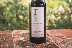 Chianti Bio-Weinverkostung