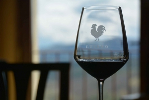 Chianti: Private Tour & Wine Tasting at Castle-Wineries