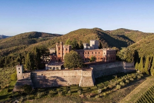Chianti: Private Tour & Wine Tasting at Castle-Wineries