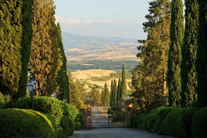 Chianti: Private Tour & Wine Tasting at Castle-Wineries
