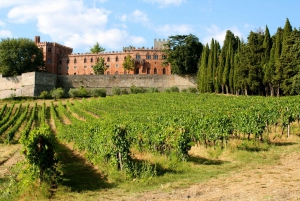 Chianti: Private Tour & Wine Tasting at Castle-Wineries
