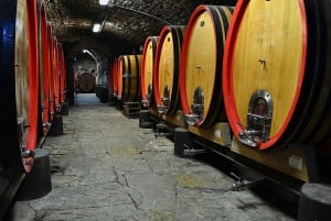 Chianti Rufina: Tour de vinhos em castelo e villa histórica