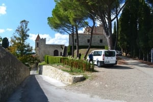 Chianti Rufina: Tour de vinhos em castelo e villa histórica