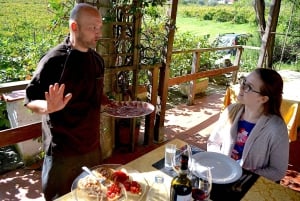 Chianti Rufina: Tour de vinhos em castelo e villa histórica