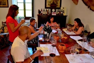 Chianti Rufina: Tour de vinhos em castelo e villa histórica
