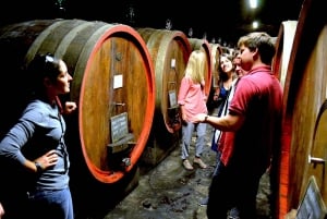 Chianti Rufina: Tour de vinhos em castelo e villa histórica