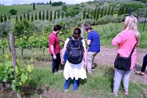 Chianti Rufina: Tour de vinhos em castelo e villa histórica