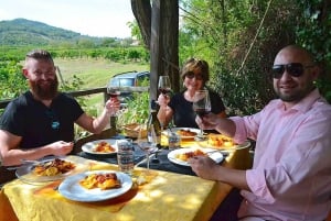 Chianti Rufina: Tour de vinhos em castelo e villa histórica