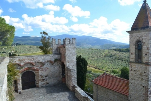 Chianti Rufina: Tour de vinhos em castelo e villa histórica