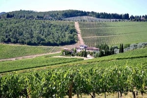 Chianti Rufina: Tour de vinhos em castelo e villa histórica