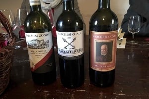 Chianti Rufina: Tour de vinhos em castelo e villa histórica