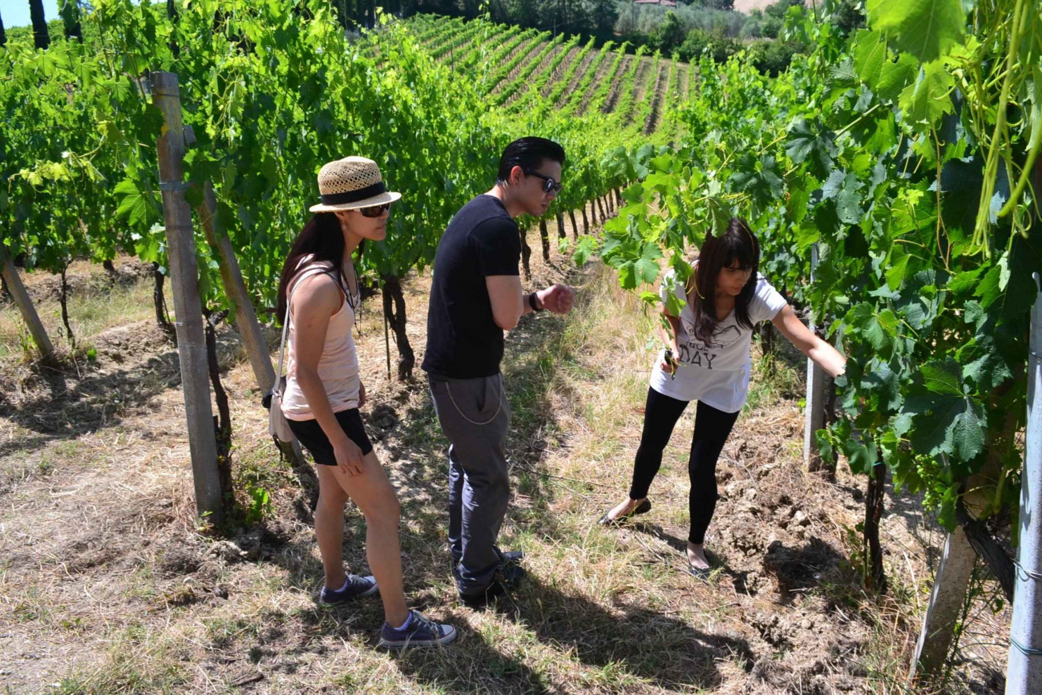 Chianti & San Gimignano Full-Day Tuscan Wine Tour