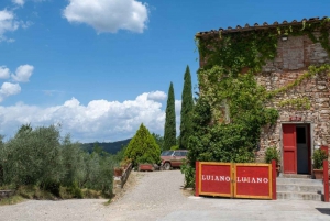 Florens: Chianti E-Bike Tour med vinprovning och lunch