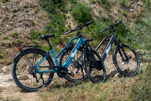 Florens: Chianti E-Bike Tour med vinprovning och lunch