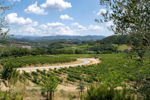 Florens: Chianti E-Bike Tour med vinprovning och lunch