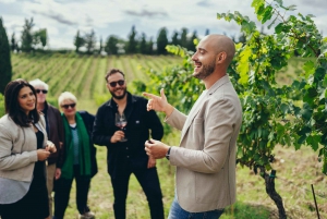 Firenze: Chianti Secrets Wineries Tour med lunsj