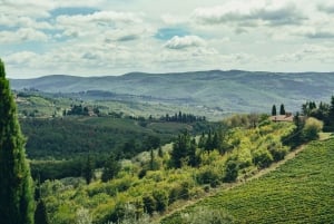 Firenze: Chianti Secrets Wineries Tour med lunsj