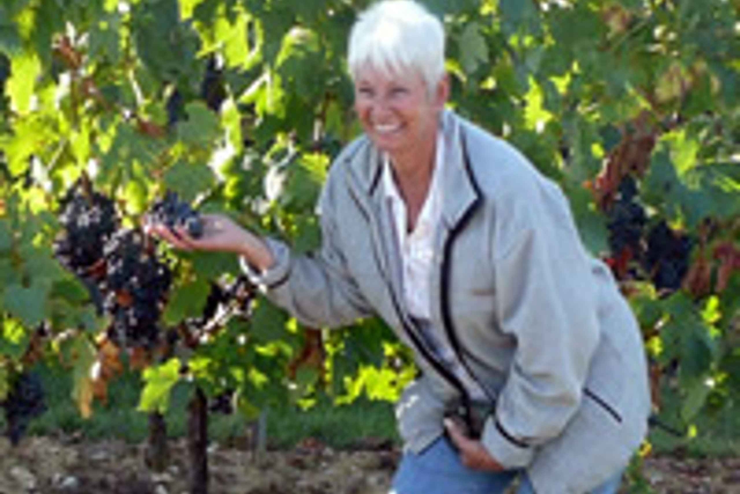 Tour de día completo por el vino y las colinas de Chianti en furgoneta de lujo