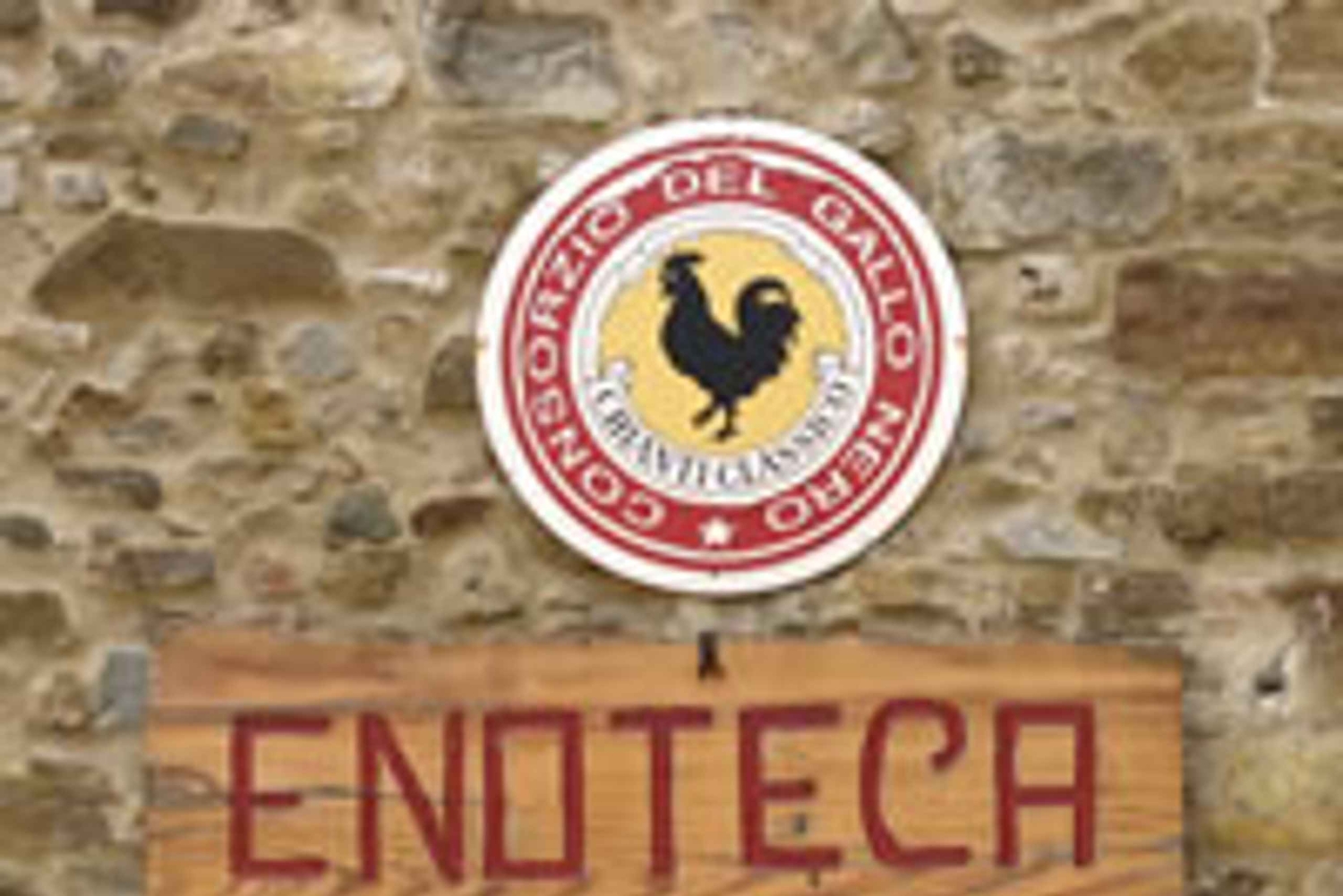 Tour de día completo por el vino y las colinas de Chianti en furgoneta de lujo