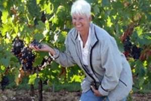 Tour de día completo por el vino y las colinas de Chianti en furgoneta de lujo