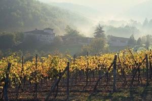 From Florence: Chianti Wine Tour with Driver-Guide