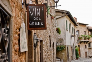 From Florence: Chianti Wine Tour with Driver-Guide