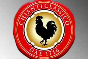 From Florence: Chianti Wine Tour with Driver-Guide