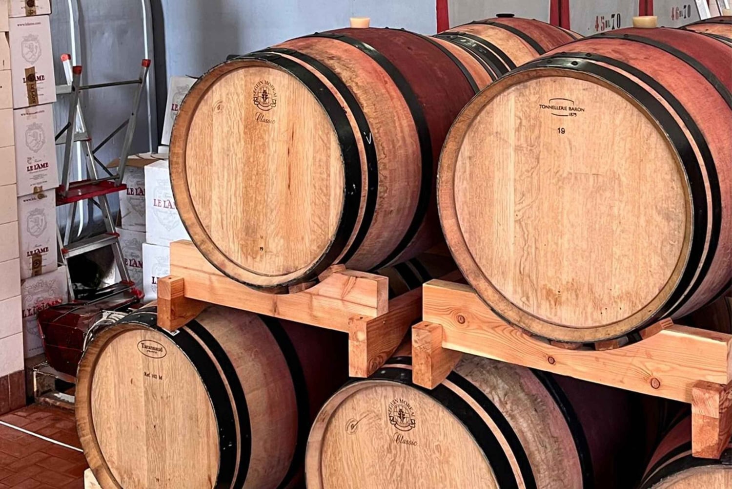 Tour privato delle cantine del Chianti e del Castello di Brolio