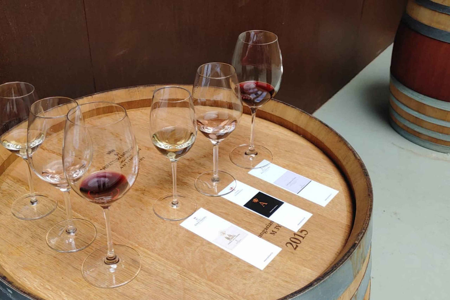 Tour privato delle cantine del Chianti e del Castello di Brolio