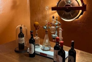 Visita privada às adegas do Chianti e ao Castelo de Brolio