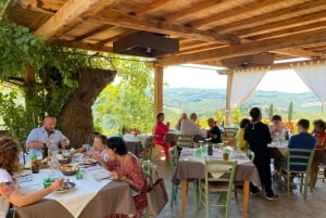 Visita privada às adegas do Chianti e ao Castelo de Brolio