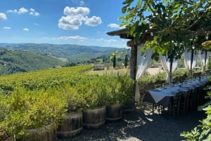 Visita privada às adegas do Chianti e ao Castelo de Brolio