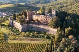 Visita privada às adegas do Chianti e ao Castelo de Brolio