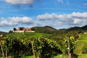 Visita privada às adegas do Chianti e ao Castelo de Brolio