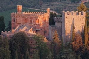 Visita privada às adegas do Chianti e ao Castelo de Brolio