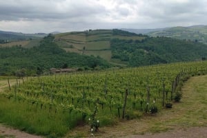 Visita privada às adegas do Chianti e ao Castelo de Brolio