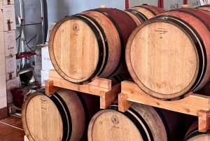 Tour privato delle cantine del Chianti e del Castello di Brolio