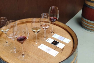 Tour privato delle cantine del Chianti e del Castello di Brolio