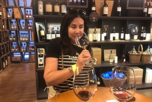 Tour privato delle cantine del Chianti e del Castello di Brolio